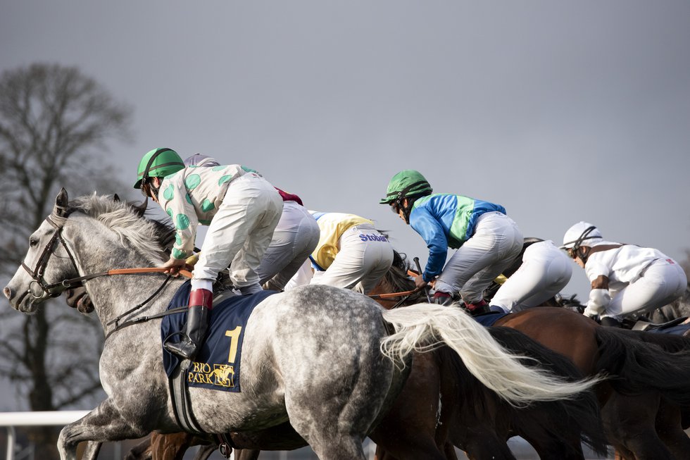 Tävling JockeysHästarEfterStart Elina Björklund.jpg