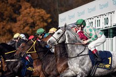 Tävling StartboxarOktober02 Elina Björklund.jpg