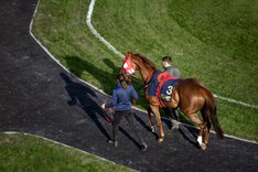 Tävling ledvoltuppifrån Elina Björklund.jpg