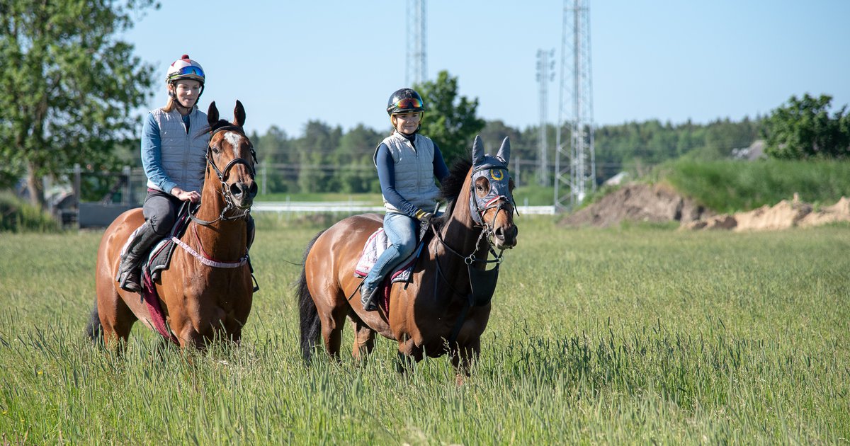 Söka Till Talang 2025 Pippa Britteny
