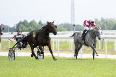 TravGaloppMontage.width-980