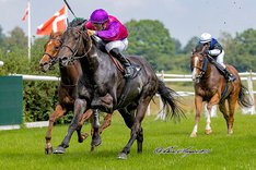 U267F9qQ Great Basin.jpeg