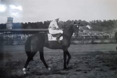 Ulrikadal 1959 Norse.jpg