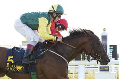 Victoria Placa 6865.jpg