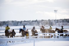 Vintergalopp ledvolt Bro Park.jpg