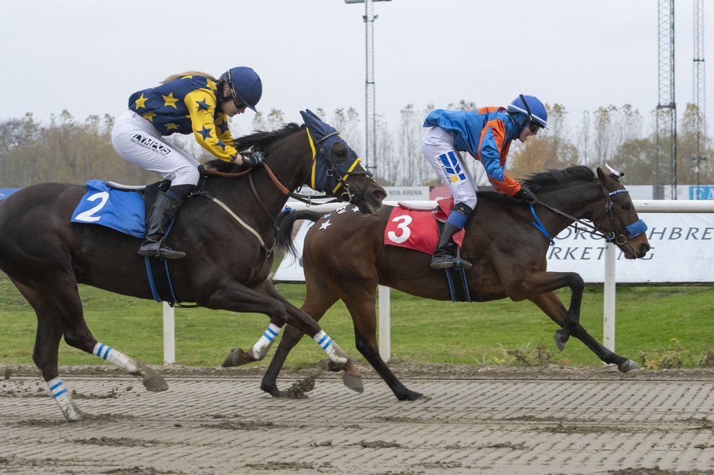 W Final Breeze o Sessa Bo 8191