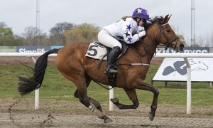 Wells Dia Psalma 0876