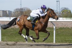 Well's Dia Psalma 7872-X3