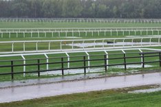 Göteborg Galopp 2021-10-01.jpeg