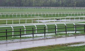 Göteborg Galopp 2021-10-01.jpeg
