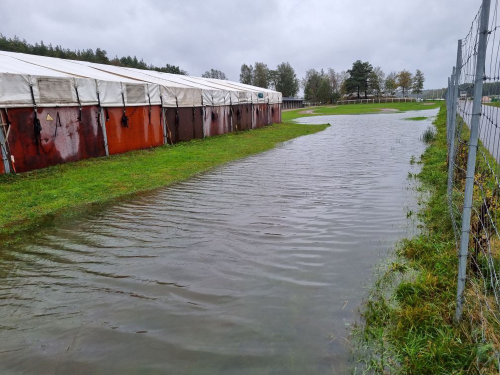 Göteborg Galopp 2021-10-01.jpeg