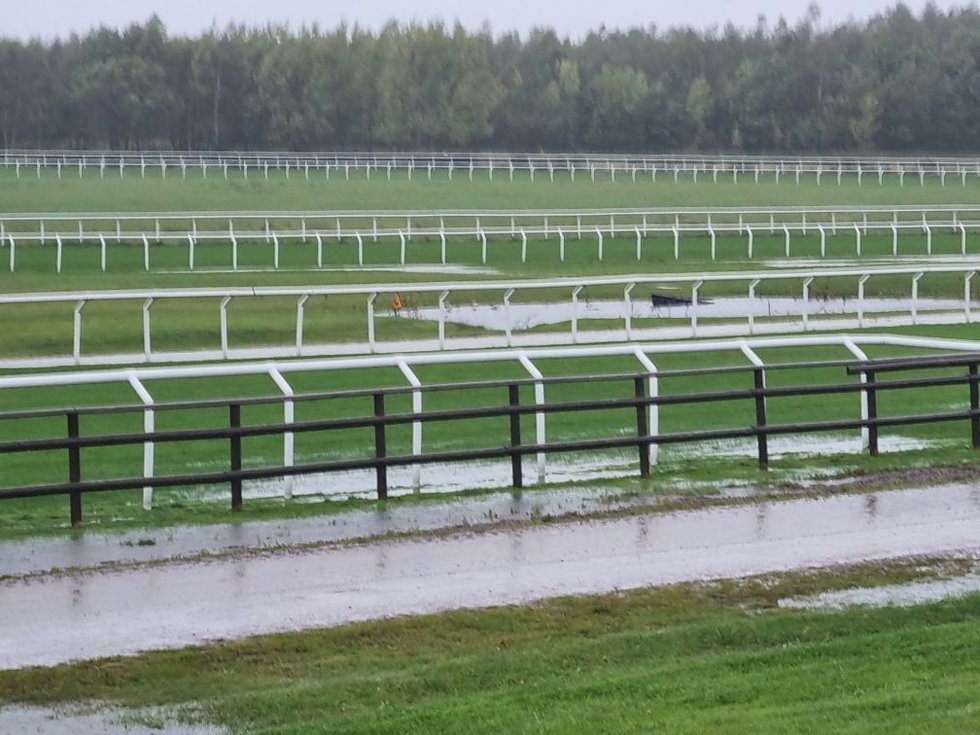 Göteborg Galopp 2021-10-01.jpeg