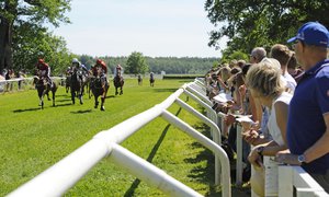 Publikplats Strömsholm 2015_D3C5539.jpg