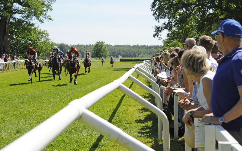Publikplats Strömsholm 2015_D3C5539.jpg