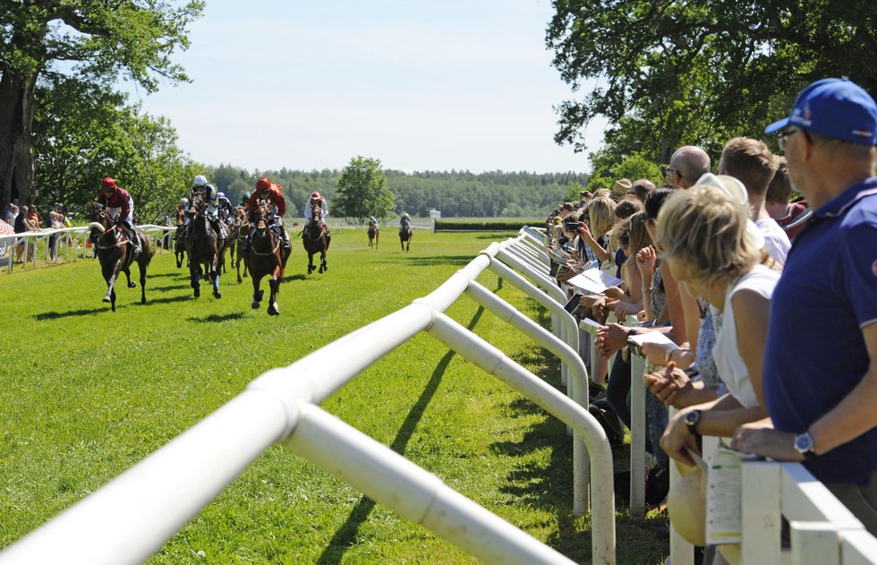 Publikplats Strömsholm 2015_D3C5539.jpg