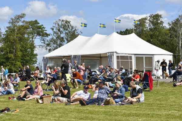 _D509473 på Göteborg Galopp.jpg