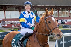 aM9YyDuc Linda Lou kopia