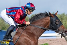 Abby och Chaves champs