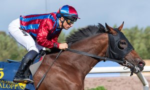 Abby och Chaves champs