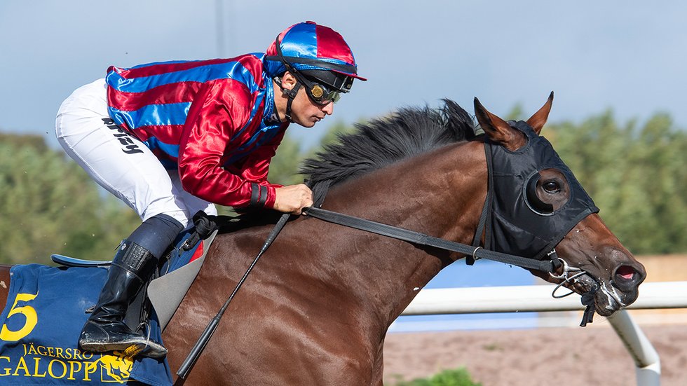 Abby och Chaves champs