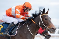 amarbelles-dream-5130