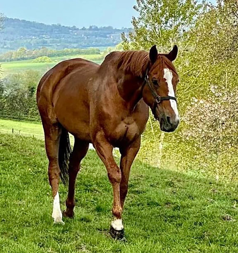 Ascot Brass i Frankrike