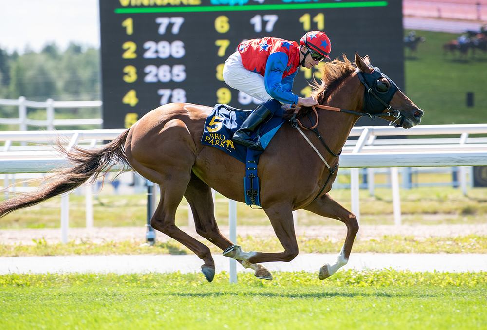 aurinko-challgestakes