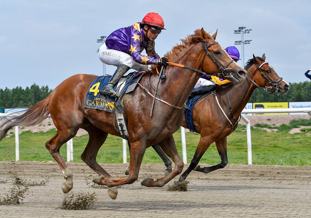 Big Red Bling Derby Trial
