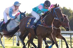 boleymickeyfinn-2-X3 redigerad