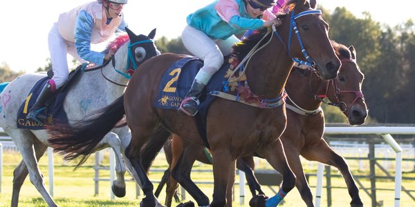 boleymickeyfinn-2