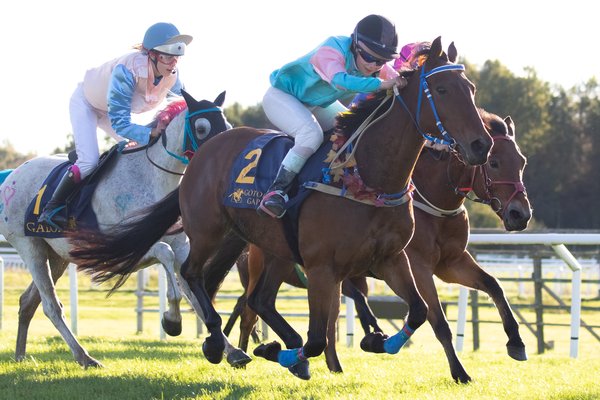 boleymickeyfinn-2