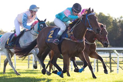 boleymickeyfinn-2