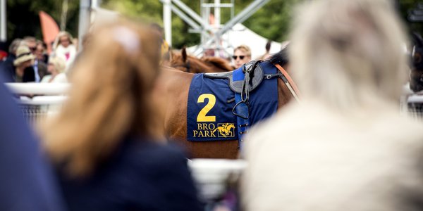 Bro Park sadel ledvolt.jpg