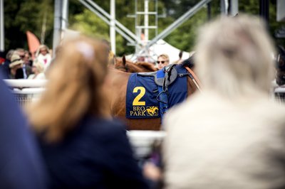 Bro Park sadel ledvolt.jpg