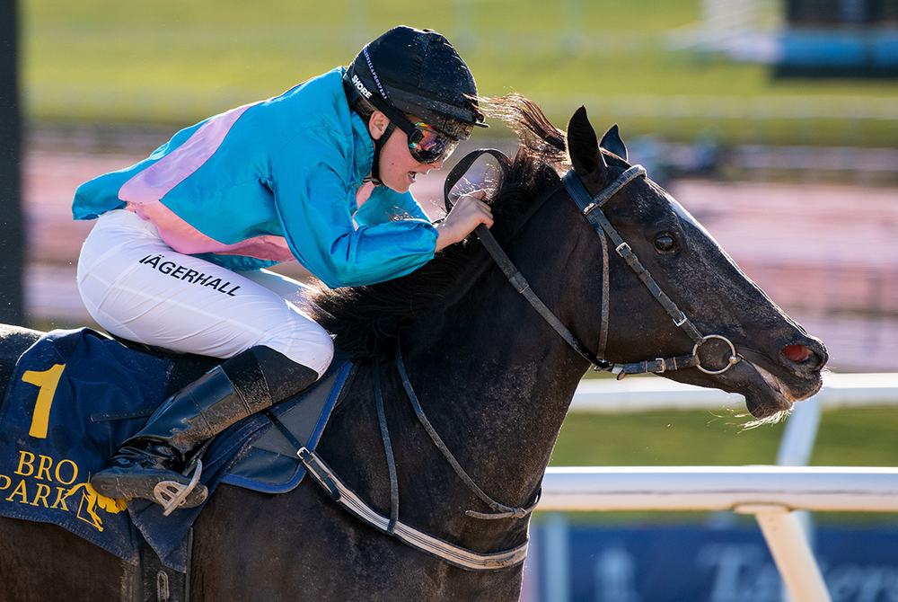 Dark Secret och Moa