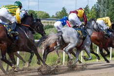 Svenskt Derby - kurva