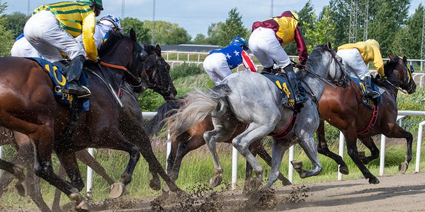 Svenskt Derby - kurva