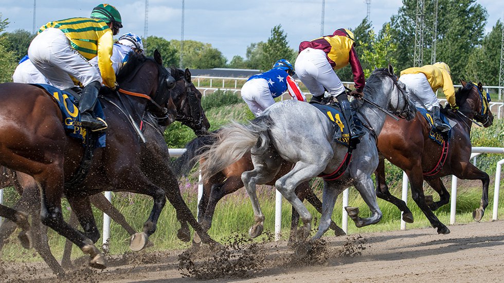 Svenskt Derby - kurva