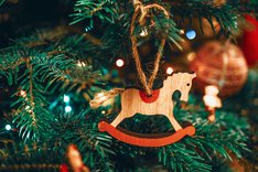 Jul dreamstime_m_175802152