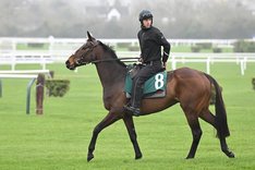 Elliot Öhgren och Kopek Des Bordes - Cheltenham