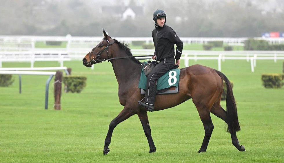 Elliot Öhgren och Kopek Des Bordes - Cheltenham