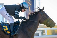 Espen Hill - Songline C 2022