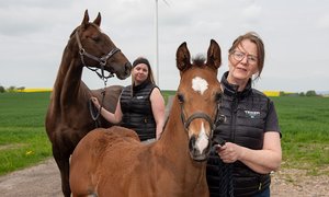 Eva CS Pettersson på Tranberga TOP