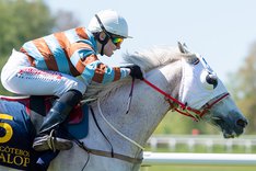 Fiftyshadesfreed TOP