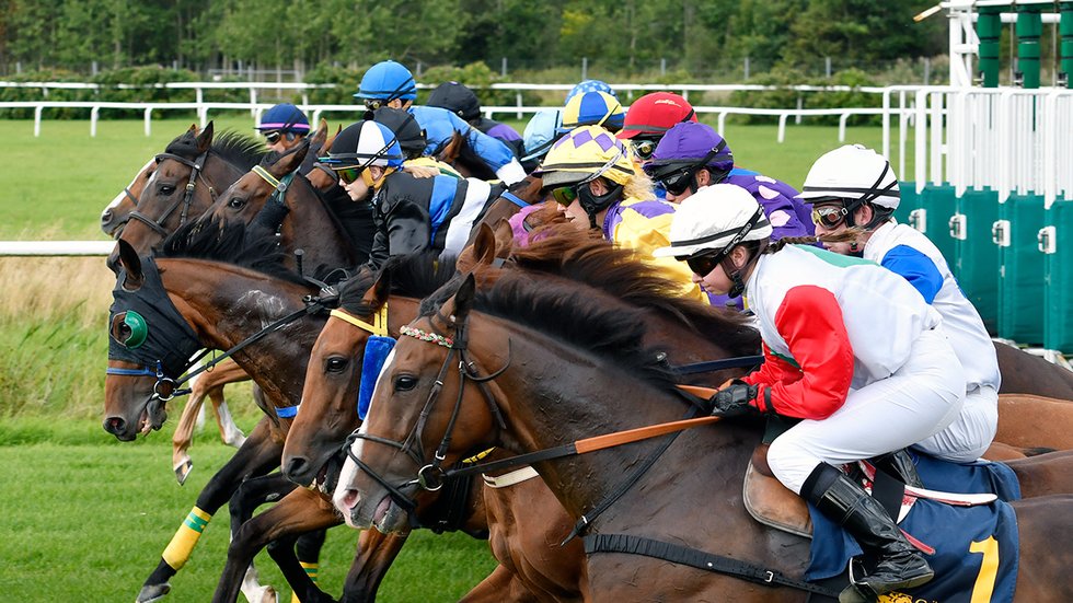 Göteborg Galopp start