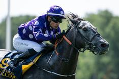 Grey Tycoon