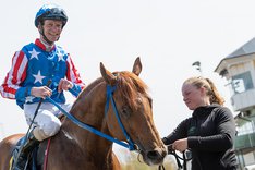 Gulfstream Tiger TOP