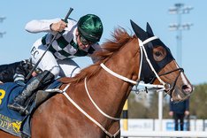 Hard One To Please TOP