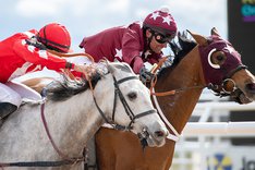 Hasard De Faust och No Risk No Reward