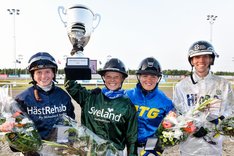 Hästarnas Mästare 2024 TOP